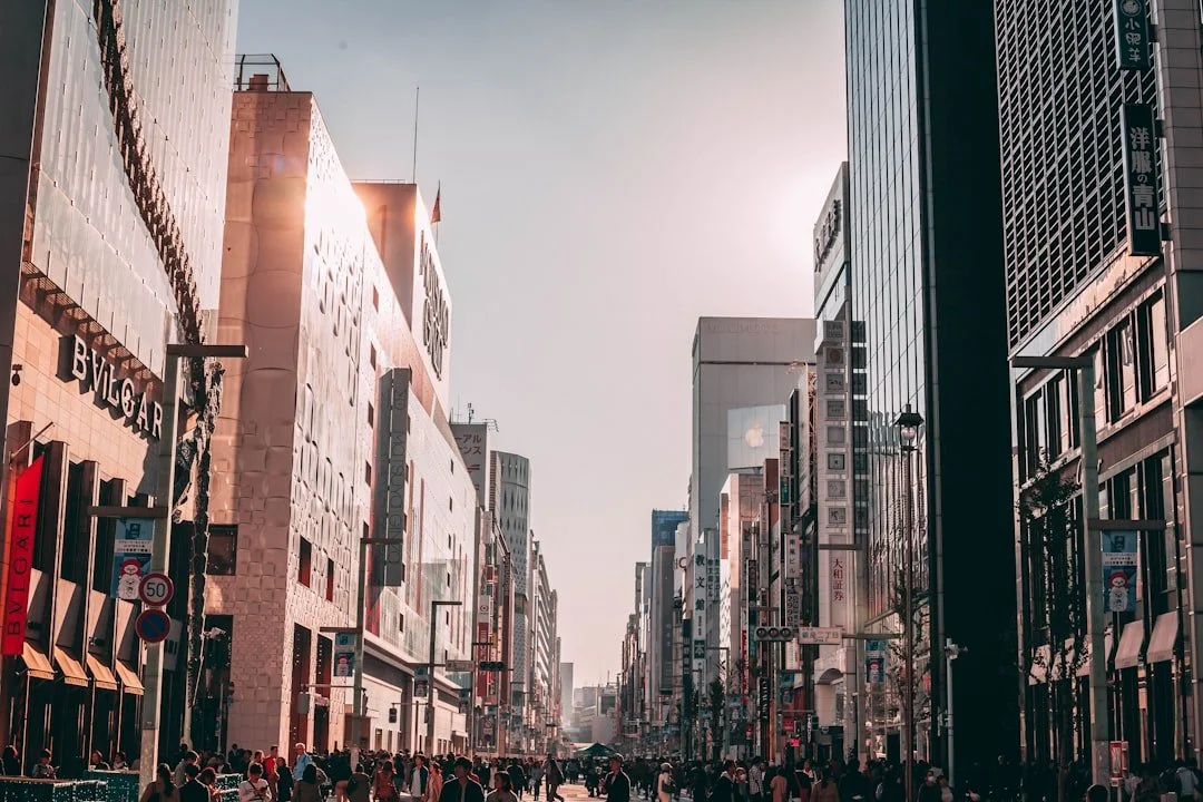 Japan luxury market